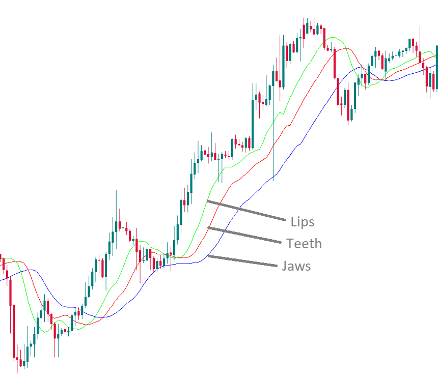 corretora brasileira forex trading